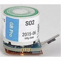 英思科Gasbadge Pro 二氧化硫(SO2)-传感器 17124983-5