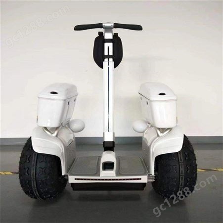 电动独轮车 成人单轮平衡车 独轮摩托